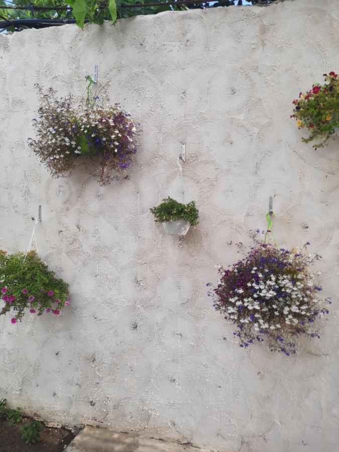 Velipojë Vila Pushimi Regis מראה חיצוני תמונה